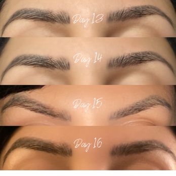 Browsignature - Days 13-16 - Permanent Makeup Near Me