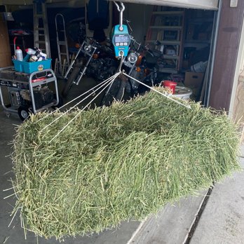 Elgin General Store - Pet Stores Near Me - Elgin, Texas