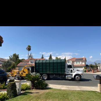 Luis’s Tree Service - Tree Services Near Me Luis’s Tree Service - Tree Services Near Me