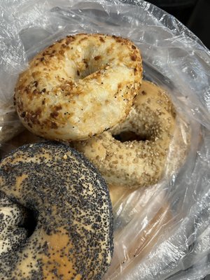 Bodacious Bagel
