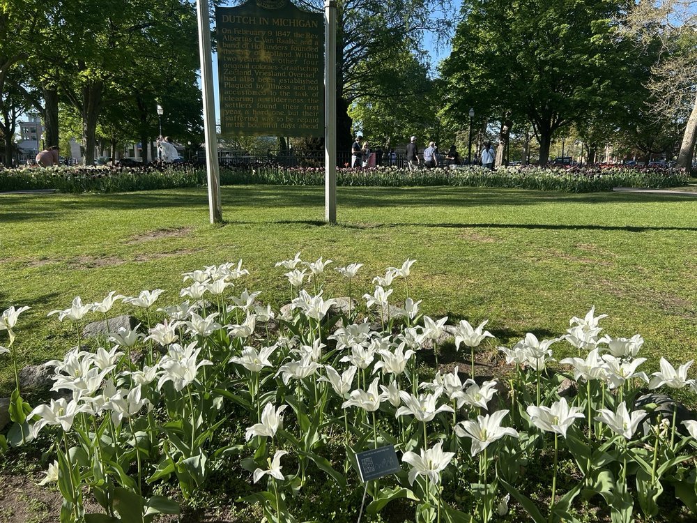 Fresh Cutz - tree service in Ann Arbor, MI