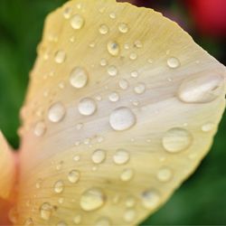 Washington Park - Water droplets