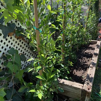 Arise Growers - Vibrant colors - Nurseries & Gardening Near Me - Jurupa Valley, California