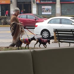 La Escarcha Providencia - Pero la vista es linda