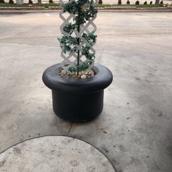 Tom Thumb Fuel Station