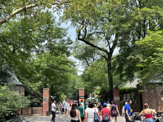 Central Park Conservancy by null