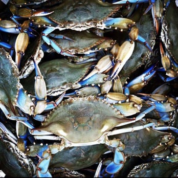 Country's Seafood - a pile of blue crabs - Seafood Near Me - Brandywine, Maryland Country's Seafood - a pile of blue crabs - Seafood Near Me - Brandywine, Maryland