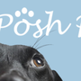 Photo of Pet Posh Paw