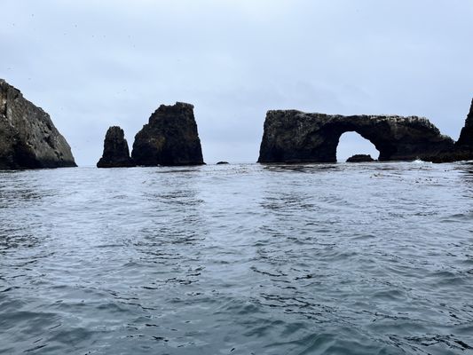 Lindblad Expeditions by null