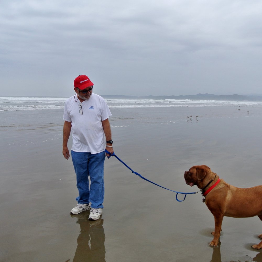 Morro Strand RV Park - Our dog was so happy to be able to walk on the beach just minutes away from Morro Strand RV Park. - RV Parks Near Me - Morro Bay, California