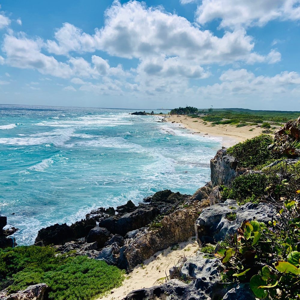 Coconuts Bar & Grill - Bars Near Me - Cozumel, ROO Coconuts Bar & Grill - Bars Near Me - Cozumel, ROO