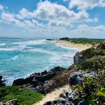 Coconuts Bar & Grill - Bars Near Me - Cozumel, ROO