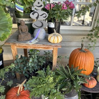 Alden Lane Nursery - Nurseries & Gardening Near Me - Livermore, California