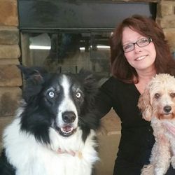Four Pups Pet Sitting