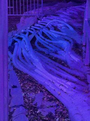 Woodland Hills on Ice by null