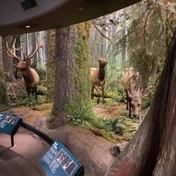Royal British Columbia Museum