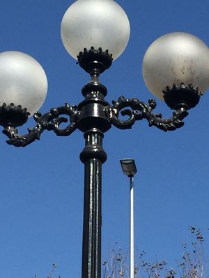 Parque Quinta Normal by null