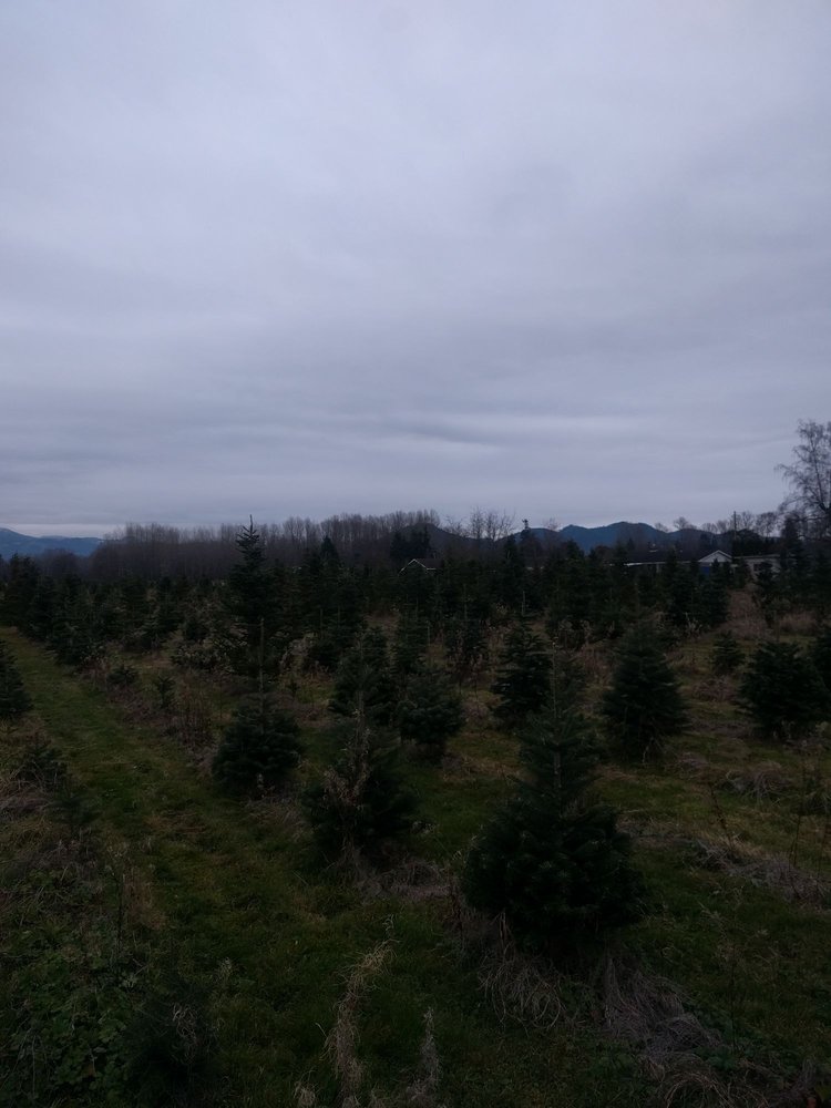 MCLEAN CHRISTMAS TREE FARM 20 Photos 15621 Penn Rd, Mount Vernon