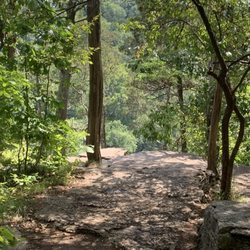 Raven Run Nature Sanctuary - Trail