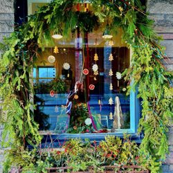 Toad Hall Flowers - Gorgeous Christmas Decorations from Fresh Boughs-12/2024