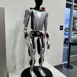 Tesla - Rocklin - 03.30.25 Tesla Bot "Optimus" [2023]