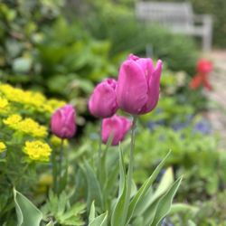 Cross Estate Gardens