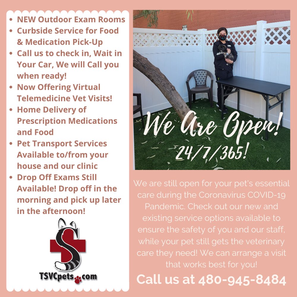 Scottsdale Veterinary Clinic 179 Photos 412 Reviews Veterinarians 7311 E Thomas R Scottsdale Az Phone Number