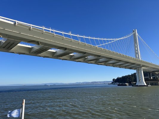 City Cruises by null