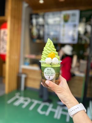Matcha Cafe Maiko by null