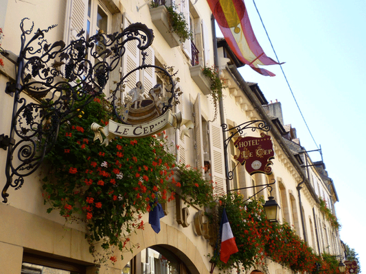 Hôtel le Cep by null