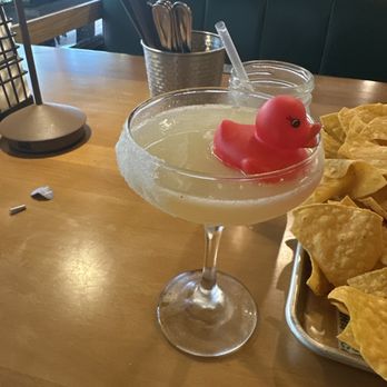 Nueva Cantina - Lemon Drop Ducktini - Mexican Near Me - Palm Harbor, Florida Nueva Cantina - Lemon Drop Ducktini - Mexican Near Me - Palm Harbor, Florida