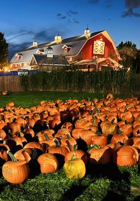 Bengtson's Pumpkin Farm and Fall Fest by null