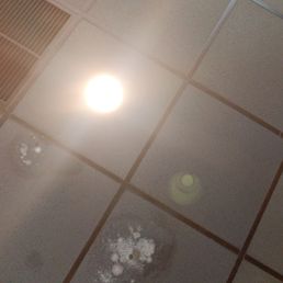 Mold growing on the ceiling.