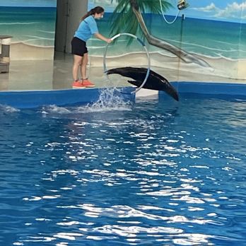Ocean Adventures - Aquariums Near Me - Gulfport, Mississippi