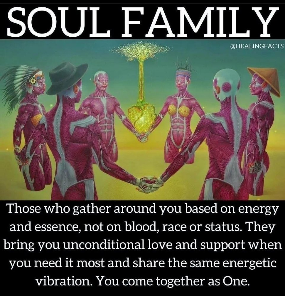 TATIANA AUTO Updated August 2024 Henderson, Kentucky Used Car