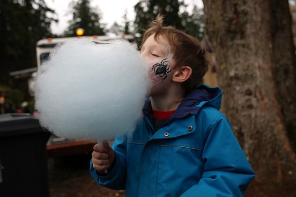 Stanley Park Railway by null