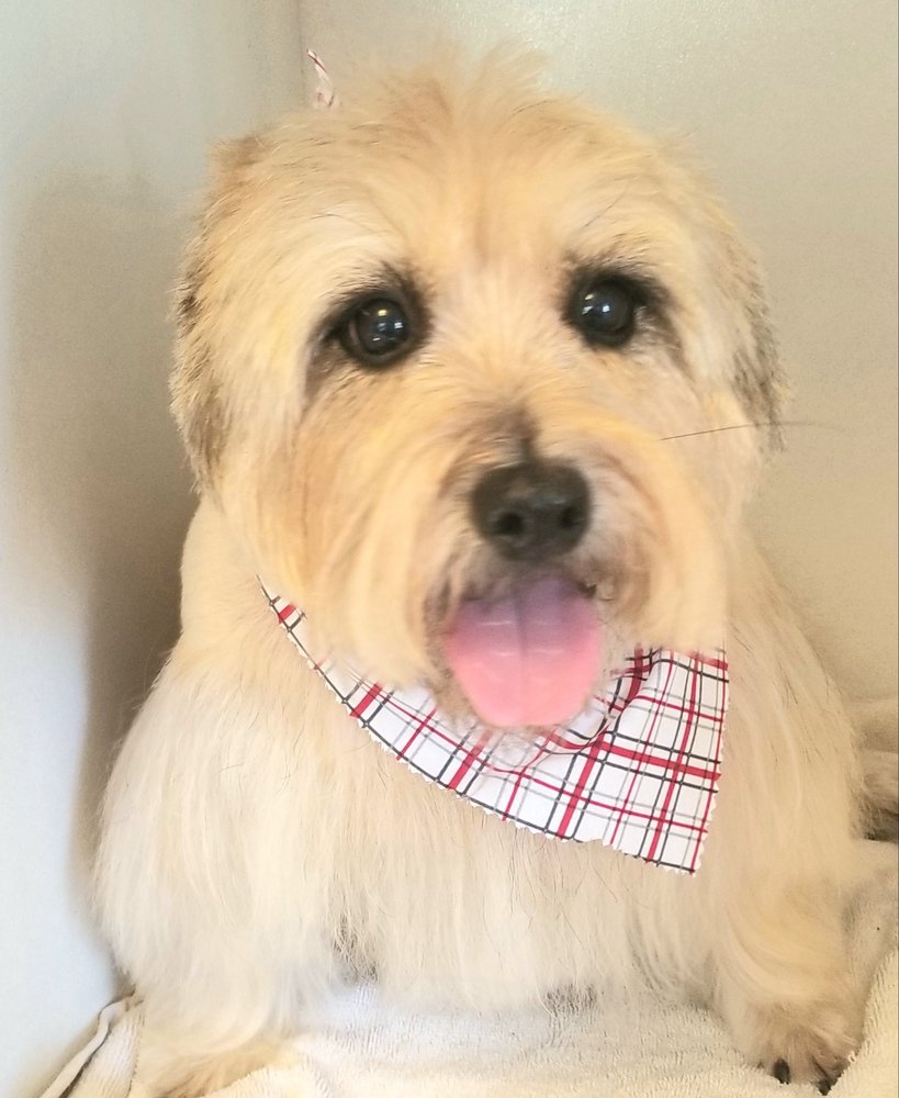 STACEY’S COUNTRY CUTS Updated September 2024 45 Photos 122