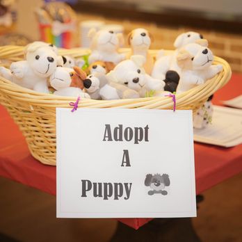 JKT Events - Puppy Party - Party & Event Planning Near Me JKT Events - Puppy Party - Party & Event Planning Near Me