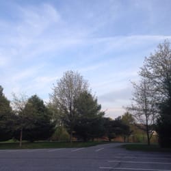 Circle D Farm - Lots of trees!!