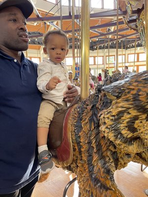 Coolidge Carousel by null