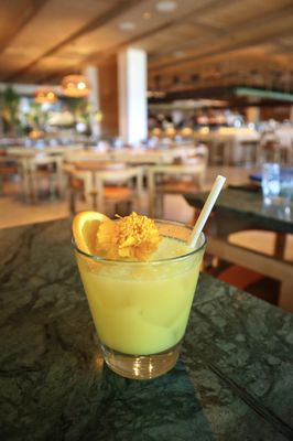 Élephante Scottsdale by null