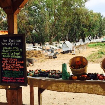 Coastal Roots Farm - Farmers Market Near Me - Encinitas, California Coastal Roots Farm - Farmers Market Near Me - Encinitas, California