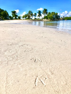 Oleta River State Park by null