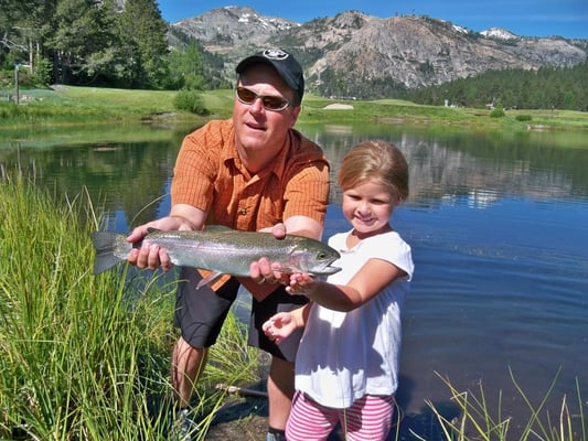 Matt Heron Fly Fishing by null