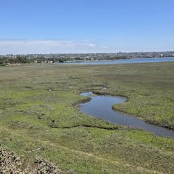 Kendall Frost Wildlife Preserve - Marsh