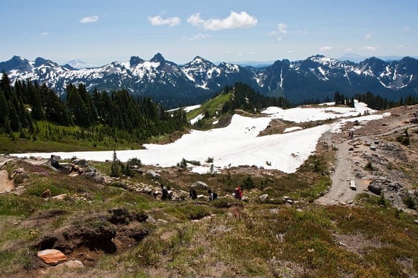 Mount Rainier by null