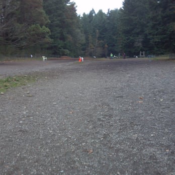 Shoreview Off Leash Park - First trip! Lots of room to play ball. - Dog Parks Near Me - Seattle, Washington