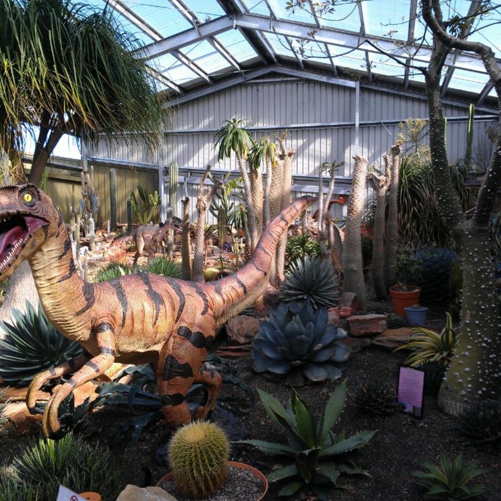 Garden World Nursery Johannesburg Fasci Garden