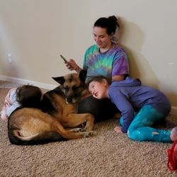 Best Animal Shelters Near Me August 22 Find Nearby Animal Shelters Reviews Yelp