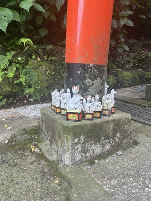 Sasuke Inari Shrine by null
